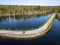 Radfahrer genießen die ruhige Atmosphäre am Pfingstsee Bottrop, umgeben von Bäumen und Wasser.