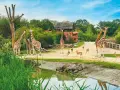 Giraffen und Antilopen grasen friedlich im **Tierpark Ruhrgebiet**. Ein idyllischer Tag in der Natur.