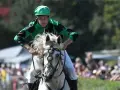 Jockey in grüner Kleidung reitet ein weißes Pferd mit flatternder Mähne. Ein spannender Moment beim Castroper Pferderennen.