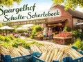 Frischer Spargel und Tomaten auf dem Spargelhof Schulte-Scherlebeck. Gäste genießen die Sonne unter Sonnenschirmen.