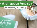 Natron hilft gegen Ameisen. Ein kleiner Ausschnitt zeigt Ameisen, die sich um Natron bewegen. Eine Packung Kaiser-Natron liegt daneben.