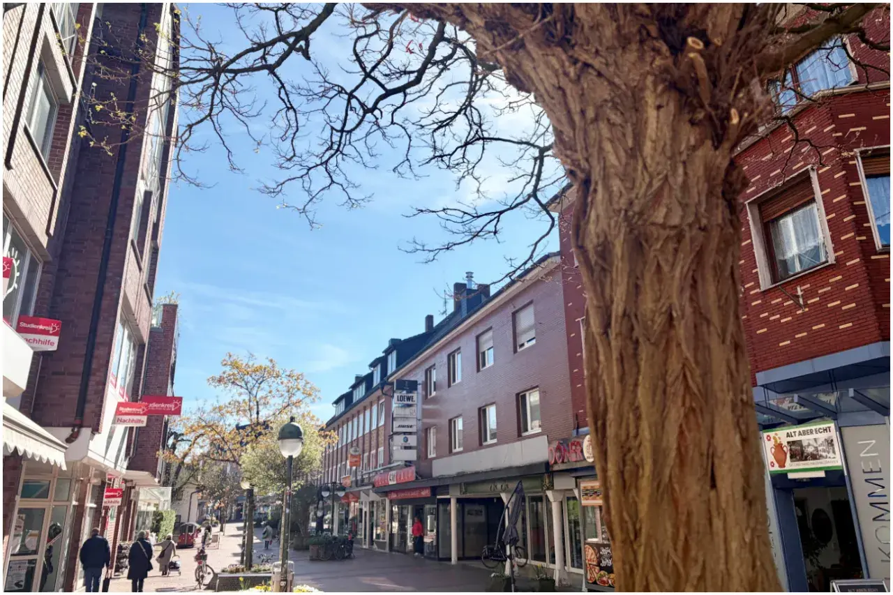 Ein sonniger Tag in der Waltrop Innenstadt. Fachwerkhäuser säumen die Straße, ein großer Baum wirft Schatten.
