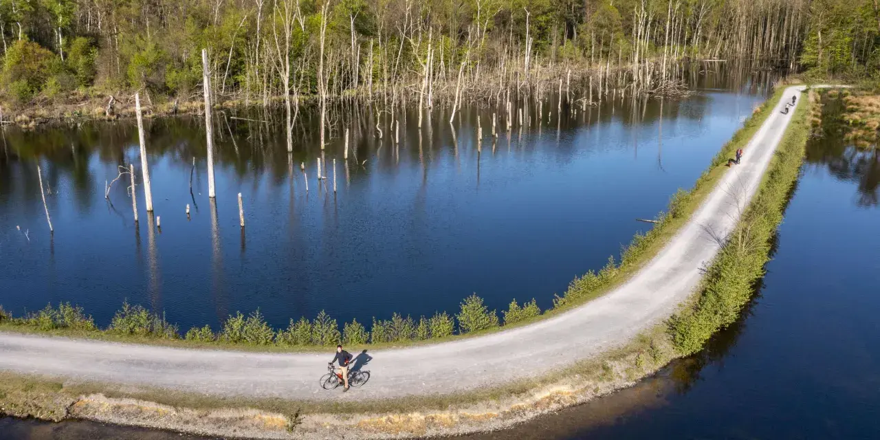 Radfahrer genießen die ruhige Atmosphäre am Pfingstsee Bottrop, umgeben von Bäumen und Wasser.