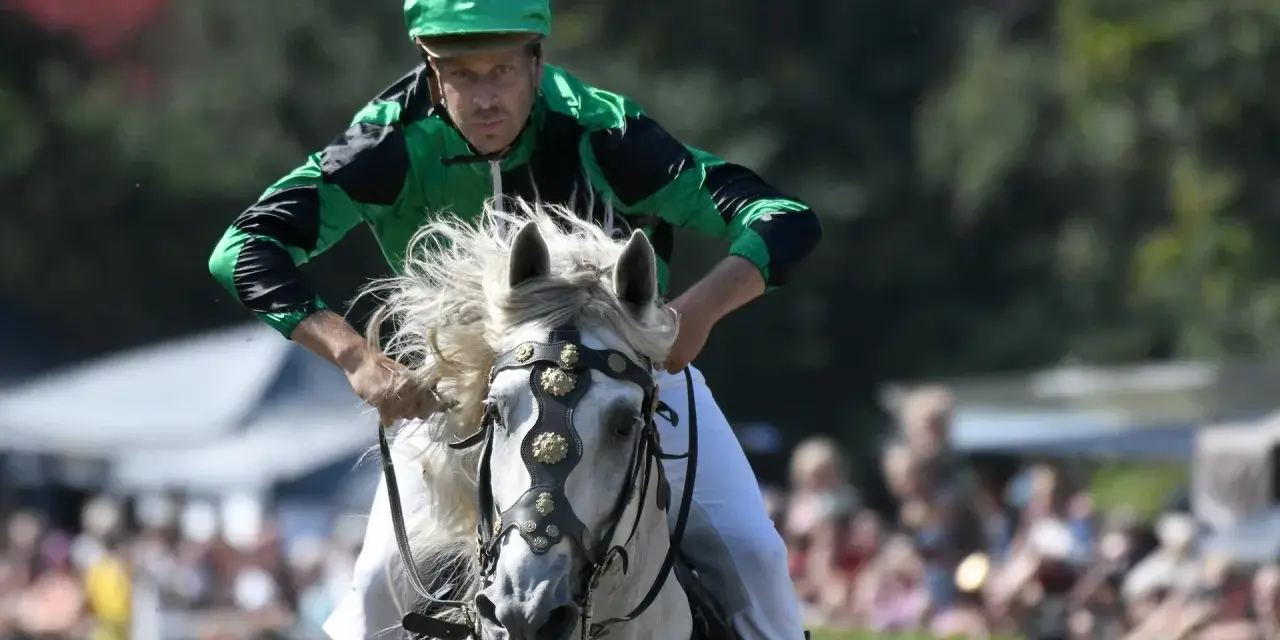 Jockey in grüner Kleidung reitet ein weißes Pferd mit flatternder Mähne. Ein spannender Moment beim Castroper Pferderennen.