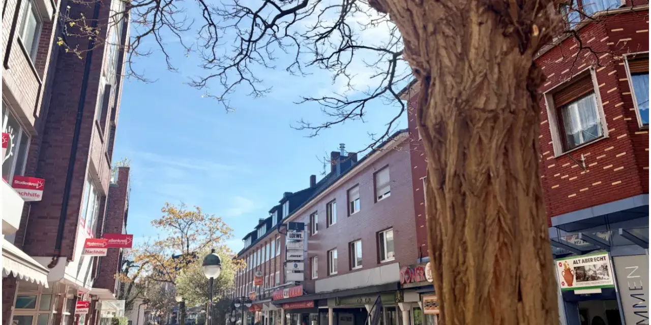 Ein sonniger Tag in der Waltrop Innenstadt. Fachwerkhäuser säumen die Straße, ein großer Baum wirft Schatten.