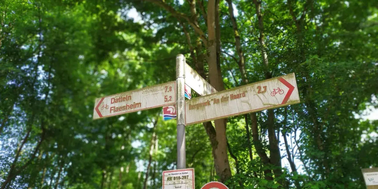 Wegweiser im Wald, ideal für eine Wanderung im Jammertal. Schilder zeigen Richtungen für Radfahrer und Wanderer.