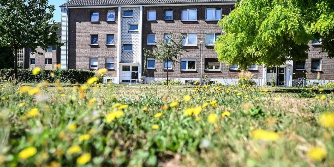 Grünes Gras mit Löwenzahn vor einem Mehrfamilienhaus in Wesel. Hier könnte man sich über den Mietspiegel Wesel informieren.