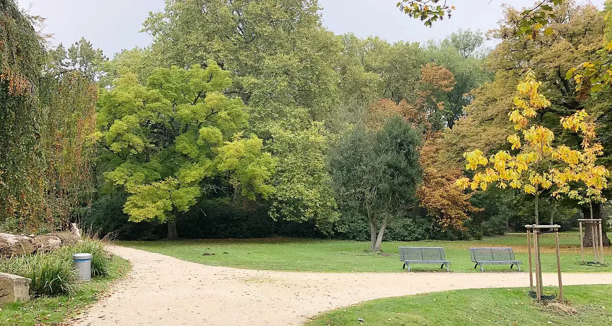 Herbstliche Farben im Schlosspark Herten. Ein Kiesweg führt durch den Park, vorbei an Bänken und Bäumen in bunten Herbsttönen.