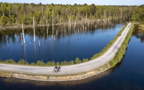 Radfahrer genießen die ruhige Atmosphäre am Pfingstsee Bottrop, umgeben von Bäumen und Wasser.