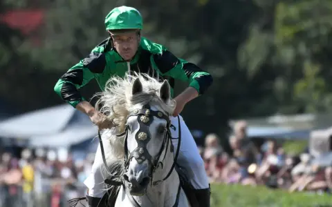Jockey in grüner Kleidung reitet ein weißes Pferd mit flatternder Mähne. Ein spannender Moment beim Castroper Pferderennen.