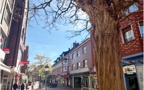 Ein sonniger Tag in der Waltrop Innenstadt. Fachwerkhäuser säumen die Straße, ein großer Baum wirft Schatten.
