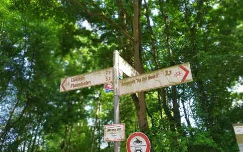 Wegweiser im Wald, ideal für eine Wanderung im Jammertal. Schilder zeigen Richtungen für Radfahrer und Wanderer.