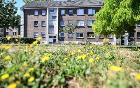 Grünes Gras mit Löwenzahn vor einem Mehrfamilienhaus in Wesel. Hier könnte man sich über den Mietspiegel Wesel informieren.