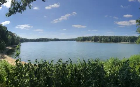 Ein ruhiger Tag am Hullerner Stausee. Grüne Bäume säumen das Ufer, das Wasser glitzert unter blauem Himmel mit weißen Wolken.