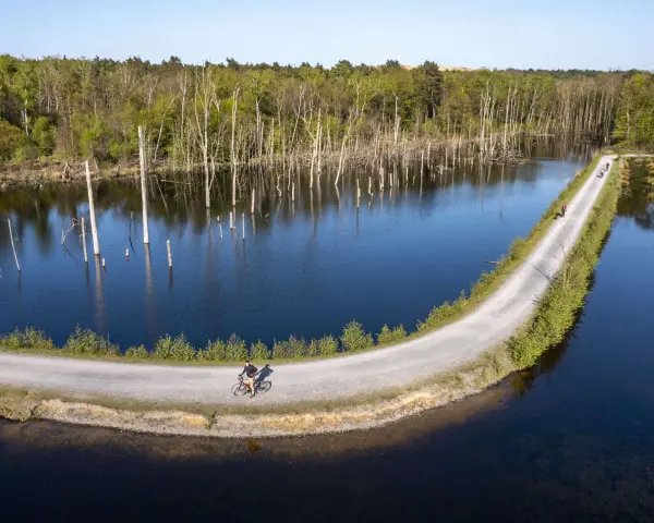 Radfahrer genießen die ruhige Atmosphäre am Pfingstsee Bottrop, umgeben von Bäumen und Wasser.