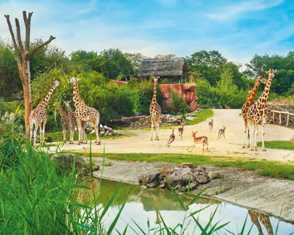 Giraffen und Antilopen grasen friedlich im **Tierpark Ruhrgebiet**. Ein idyllischer Tag in der Natur.