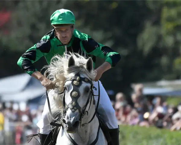 Jockey in grüner Kleidung reitet ein weißes Pferd mit flatternder Mähne. Ein spannender Moment beim Castroper Pferderennen.