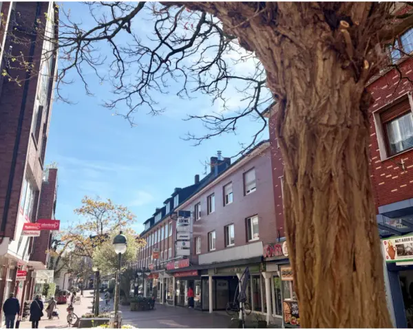 Ein sonniger Tag in der Waltrop Innenstadt. Fachwerkhäuser säumen die Straße, ein großer Baum wirft Schatten.