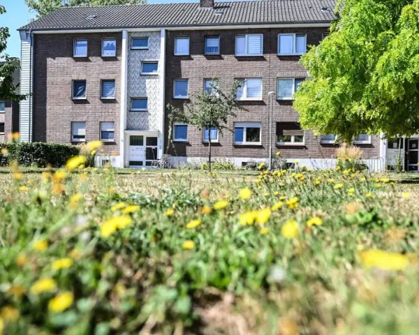 Grünes Gras mit Löwenzahn vor einem Mehrfamilienhaus in Wesel. Hier könnte man sich über den Mietspiegel Wesel informieren.