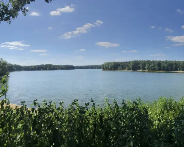 Ein ruhiger Tag am Hullerner Stausee. Grüne Bäume säumen das Ufer, das Wasser glitzert unter blauem Himmel mit weißen Wolken.