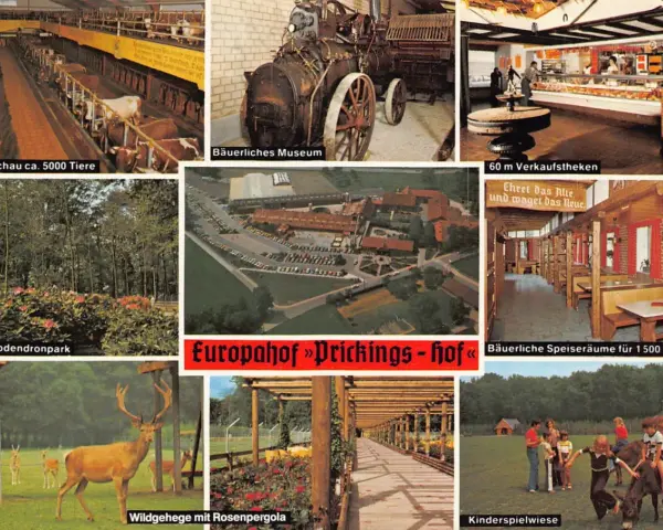 Bilder vom Europahof Prickings-hof: Tierstall, Museum, Laden, Rhododendronpark, Wildgehege, Speiseräume, Kinderspielwiese.