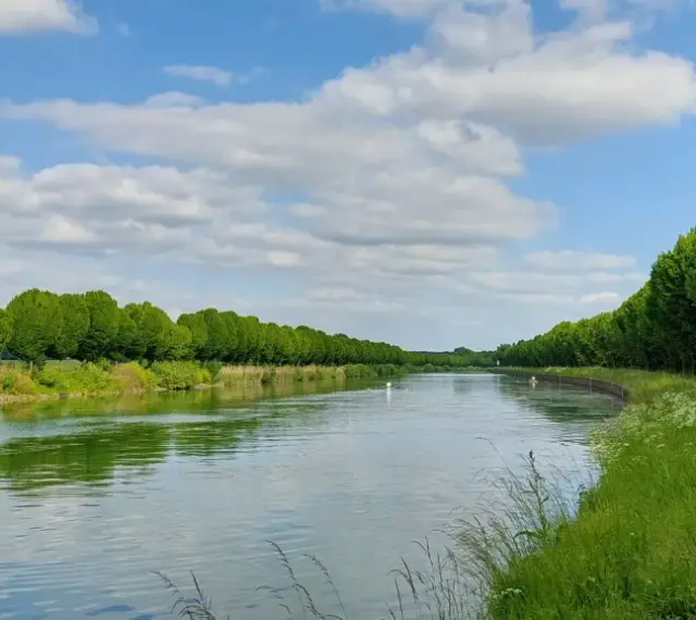 Ein ruhiger Tag am Dortmund-Ems-Kanal. Grüne Bäume säumen das Ufer, ein Weg lädt zum Spazieren ein.