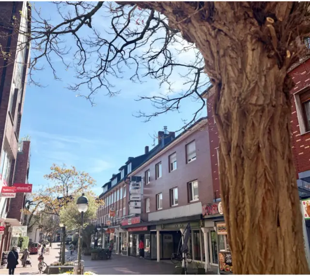 Ein sonniger Tag in der Waltrop Innenstadt. Fachwerkhäuser säumen die Straße, ein großer Baum wirft Schatten.
