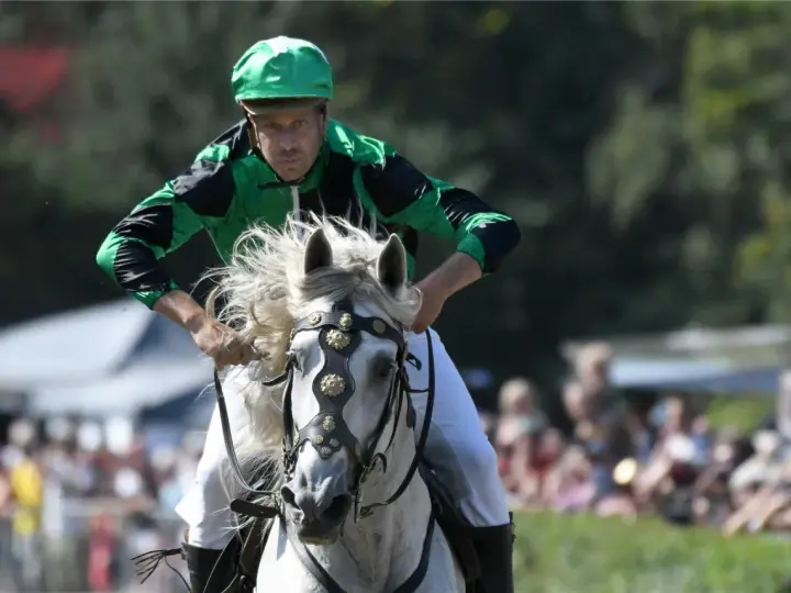 Jockey in grüner Kleidung reitet ein weißes Pferd mit flatternder Mähne. Ein spannender Moment beim Castroper Pferderennen.
