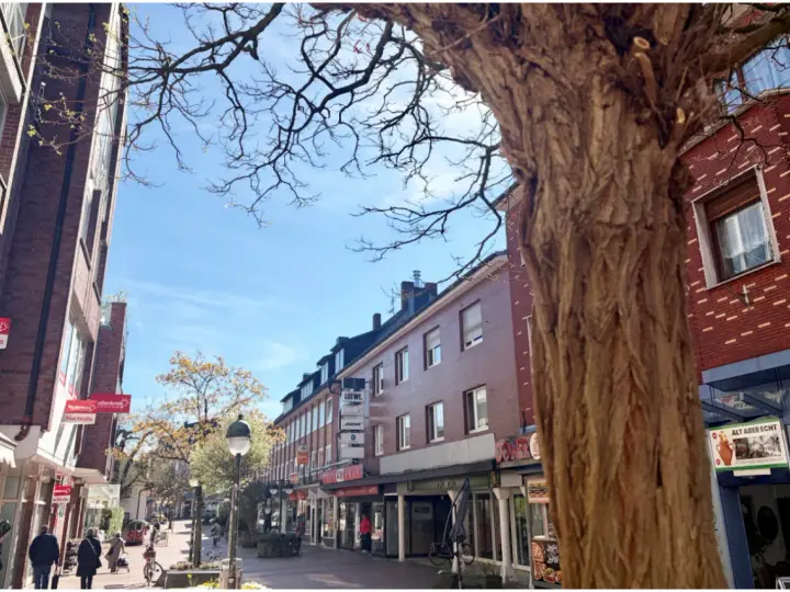 Ein sonniger Tag in der Waltrop Innenstadt. Fachwerkhäuser säumen die Straße, ein großer Baum wirft Schatten.