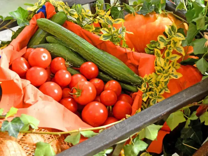 Frisches Gemüse wie Tomaten und Gurken, dekoriert mit Efeu und Kürbissen, erinnert an einen bunten markt kreis recklinghausen.