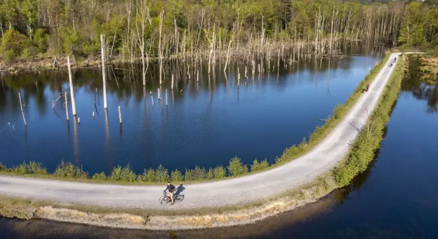 Radfahrer genießen die ruhige Atmosphäre am Pfingstsee Bottrop, umgeben von Bäumen und Wasser.