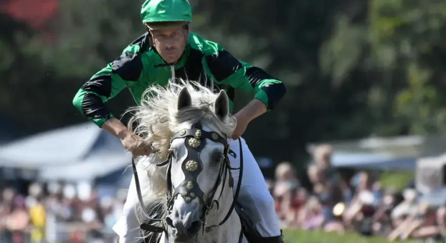 Jockey in grüner Kleidung reitet ein weißes Pferd mit flatternder Mähne. Ein spannender Moment beim Castroper Pferderennen.