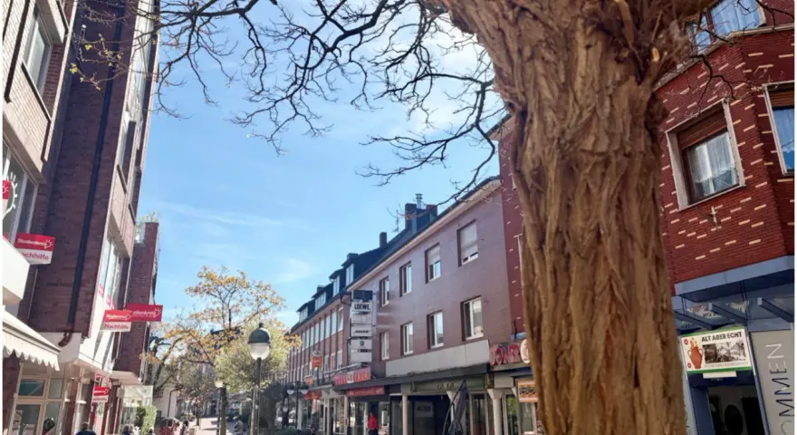 Ein sonniger Tag in der Waltrop Innenstadt. Fachwerkhäuser säumen die Straße, ein großer Baum wirft Schatten.