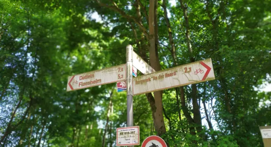 Wegweiser im Wald, ideal für eine Wanderung im Jammertal. Schilder zeigen Richtungen für Radfahrer und Wanderer.
