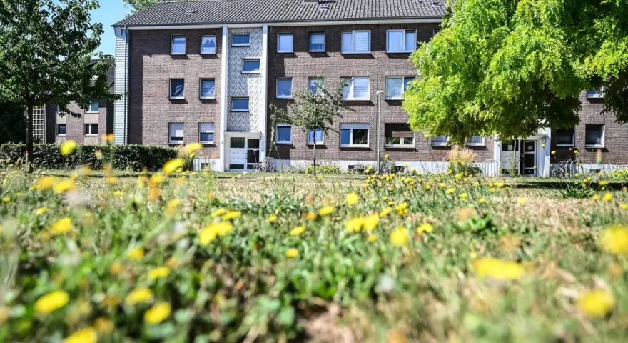 Grünes Gras mit Löwenzahn vor einem Mehrfamilienhaus in Wesel. Hier könnte man sich über den Mietspiegel Wesel informieren.
