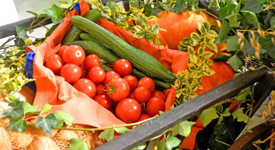 Frisches Gemüse wie Tomaten und Gurken, dekoriert mit Efeu und Kürbissen, erinnert an einen bunten markt kreis recklinghausen.