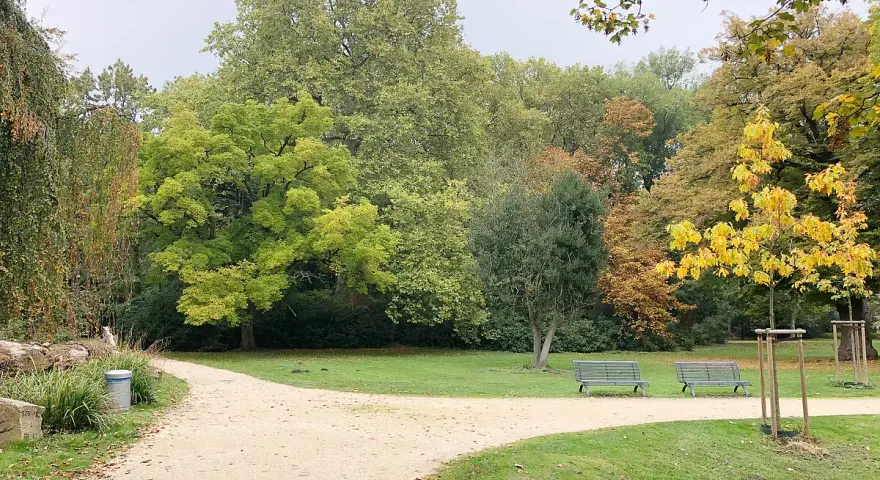 Herbstliche Farben im Schlosspark Herten. Ein Kiesweg führt durch den Park, vorbei an Bänken und Bäumen in bunten Herbsttönen.