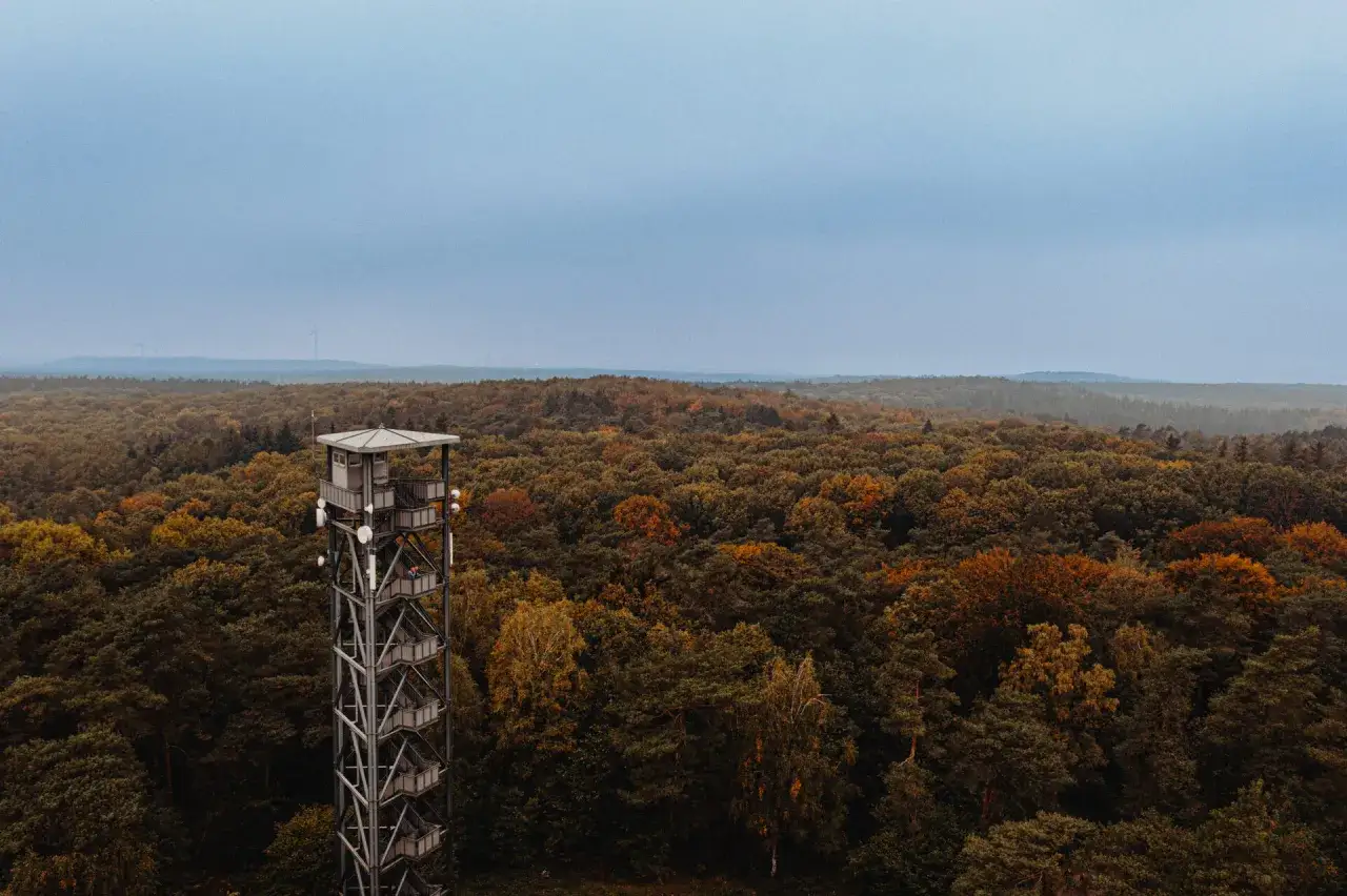 Aussichtsturm &uuml;ber einem Herbstwald, ideal f&uuml;r eine Wanderung im Jammertal.