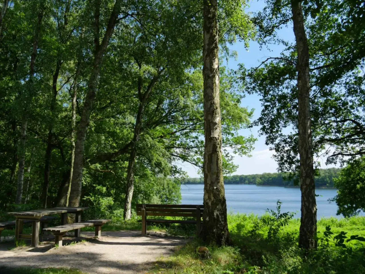 Idyllische Szene am Hullerner Stausee: Holzb&auml;nke und ein Tisch laden zum Verweilen ein, umgeben von B&auml;umen mit Blick auf das ruhige Wasser.