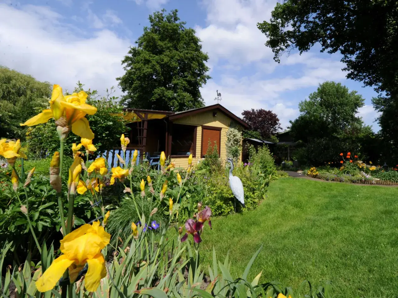 Ein idyllischer Schrebergarten mit gelben Schwertlilien, einer kleinen Hütte und einem Reiher. Perfekt, um einen Schrebergarten zu mieten und zu entspannen.