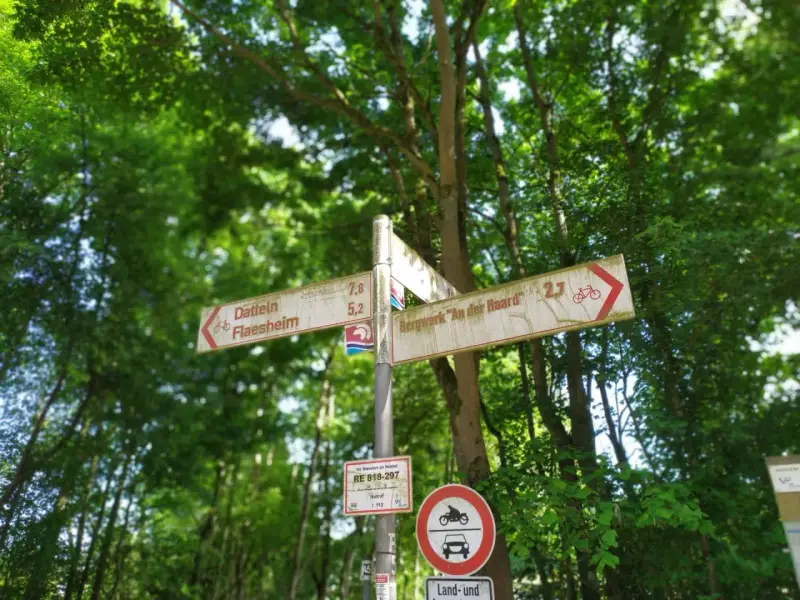 Wegweiser im Wald, ideal für eine Wanderung im Jammertal. Schilder zeigen Richtungen für Radfahrer und Wanderer.
